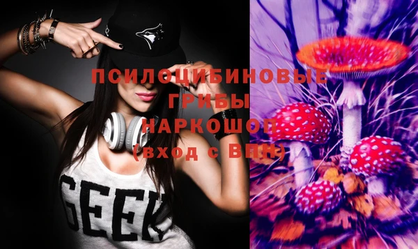 mdpv Иннополис
