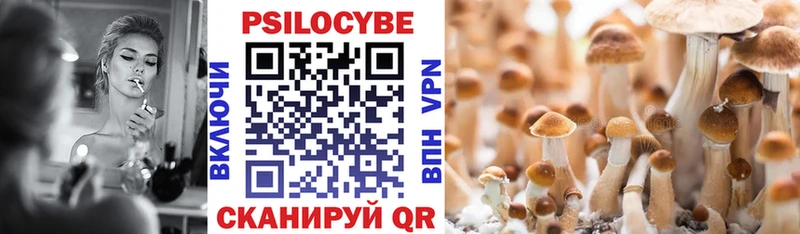 Галлюциногенные грибы GOLDEN TEACHER  Купить где  Дубна 